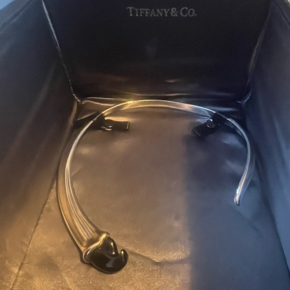 Tiffany & Co. Elsa Peretti RARE Black Jade Claw Necklace Silver AUTHENTICATED! - Picture 15 of 16